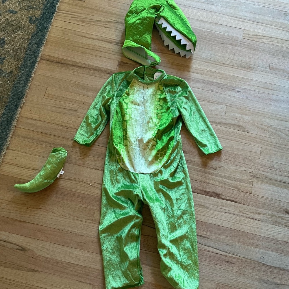 Toy Story Rex costume. 12-18 mo. Fits TTS. Used once. Excellent condition.